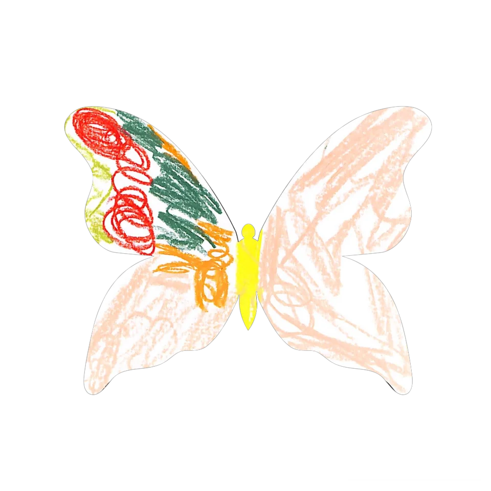 Original Butterfly Image