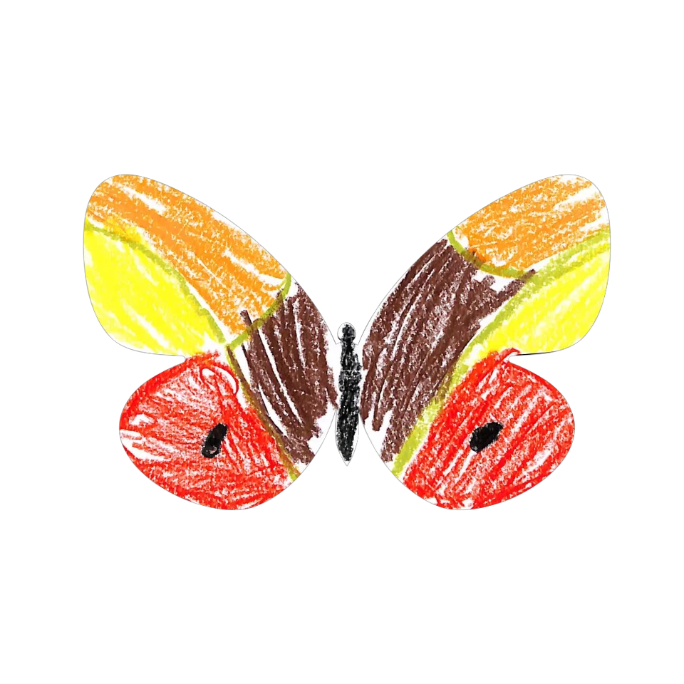 Original Butterfly Image