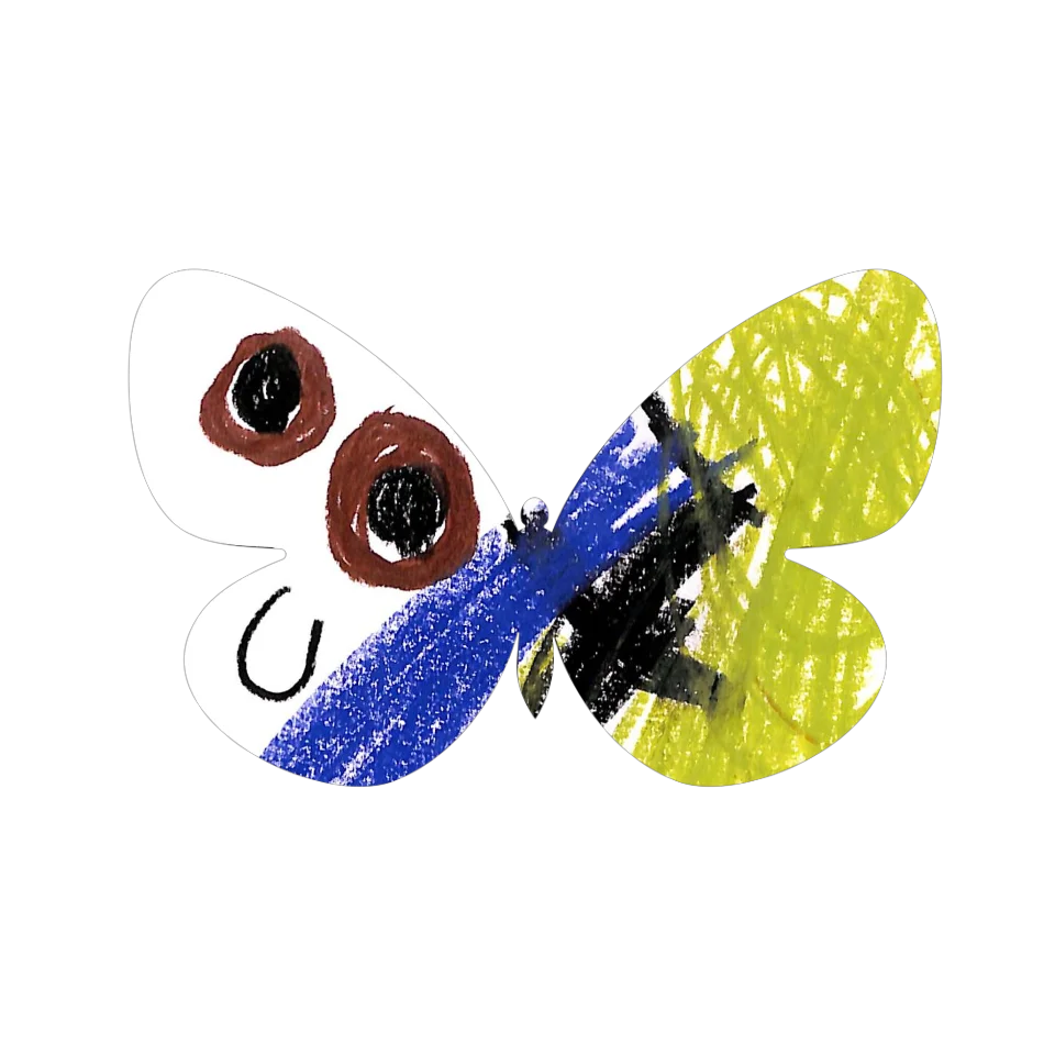 Original Butterfly Image