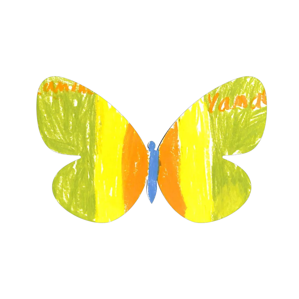 Original Butterfly Image