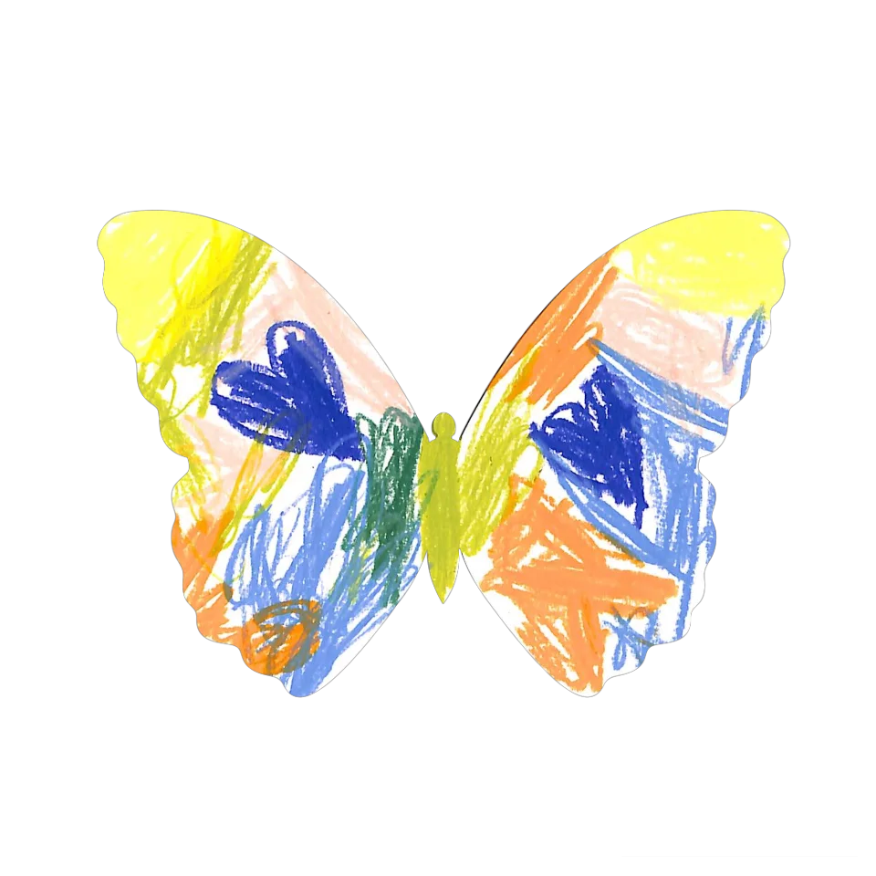 Original Butterfly Image