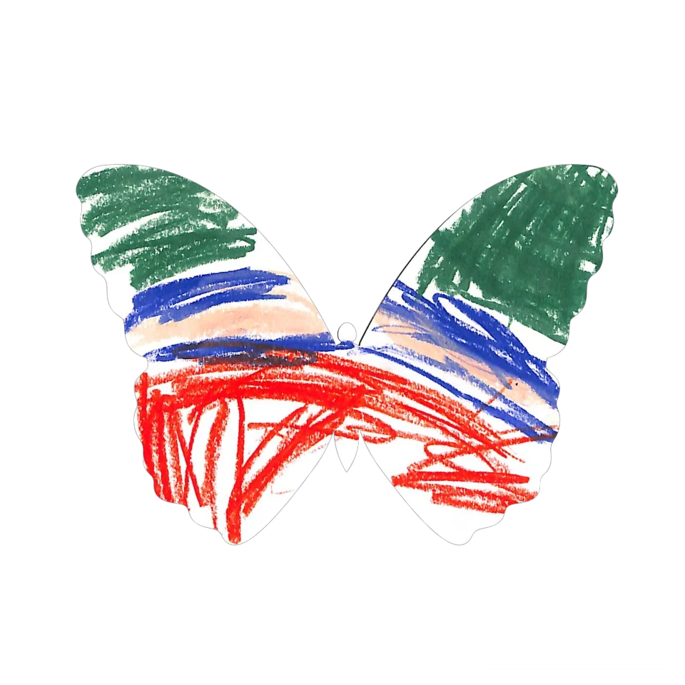 Original Butterfly Image