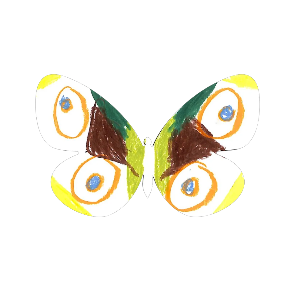 Original Butterfly Image