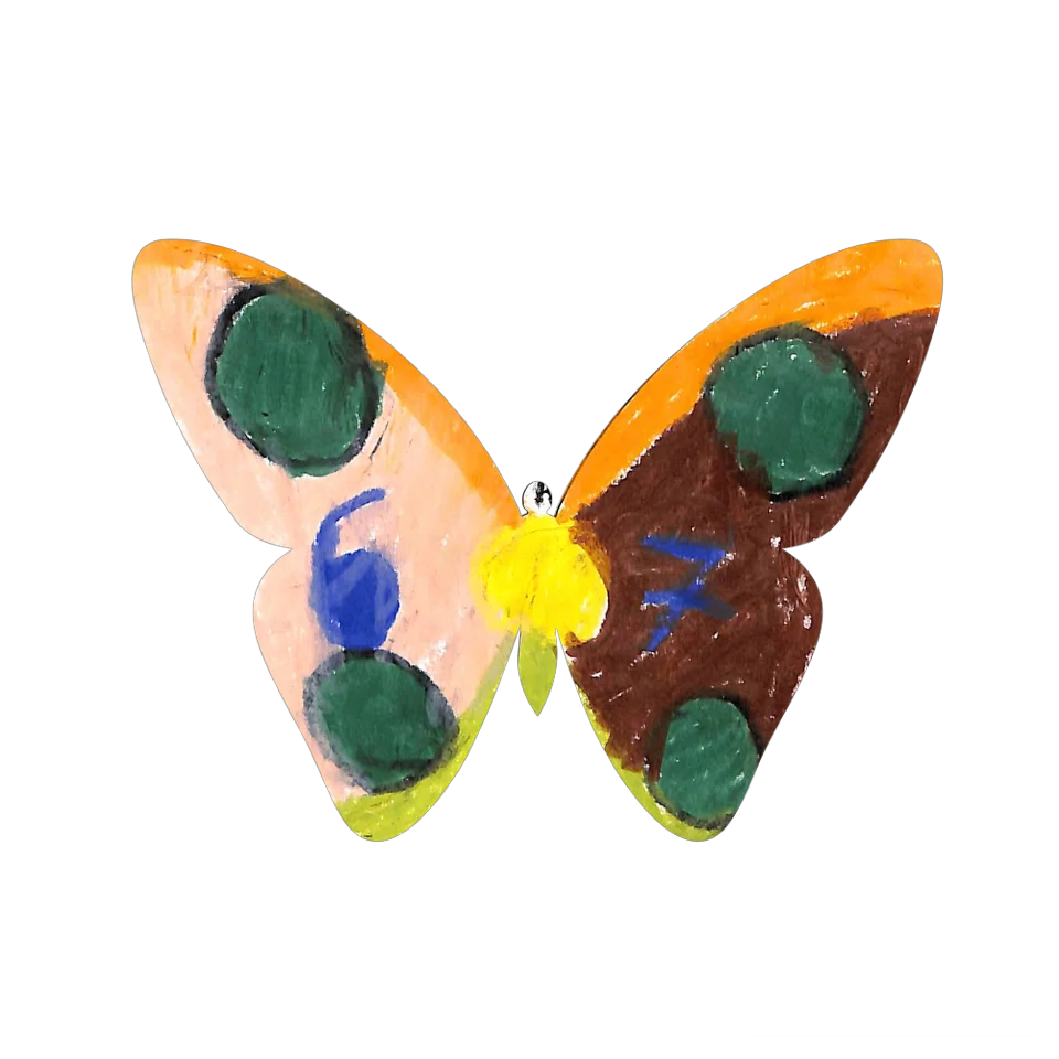 Original Butterfly Image