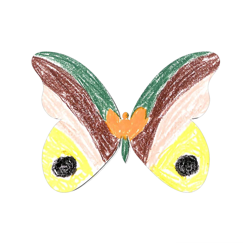 Original Butterfly Image