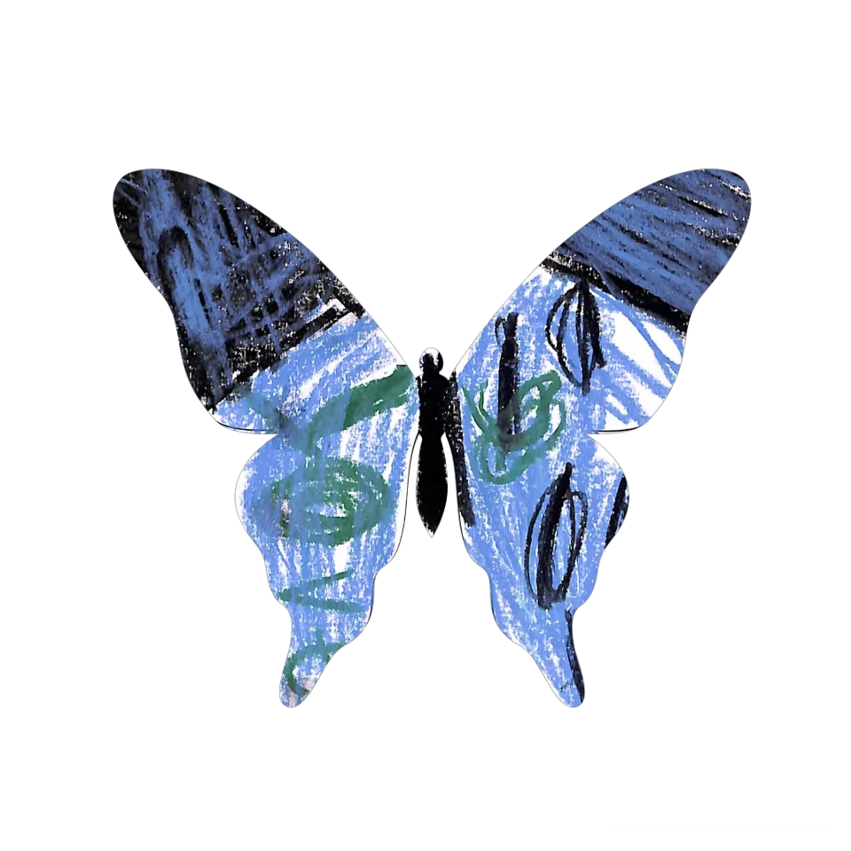 Original Butterfly Image