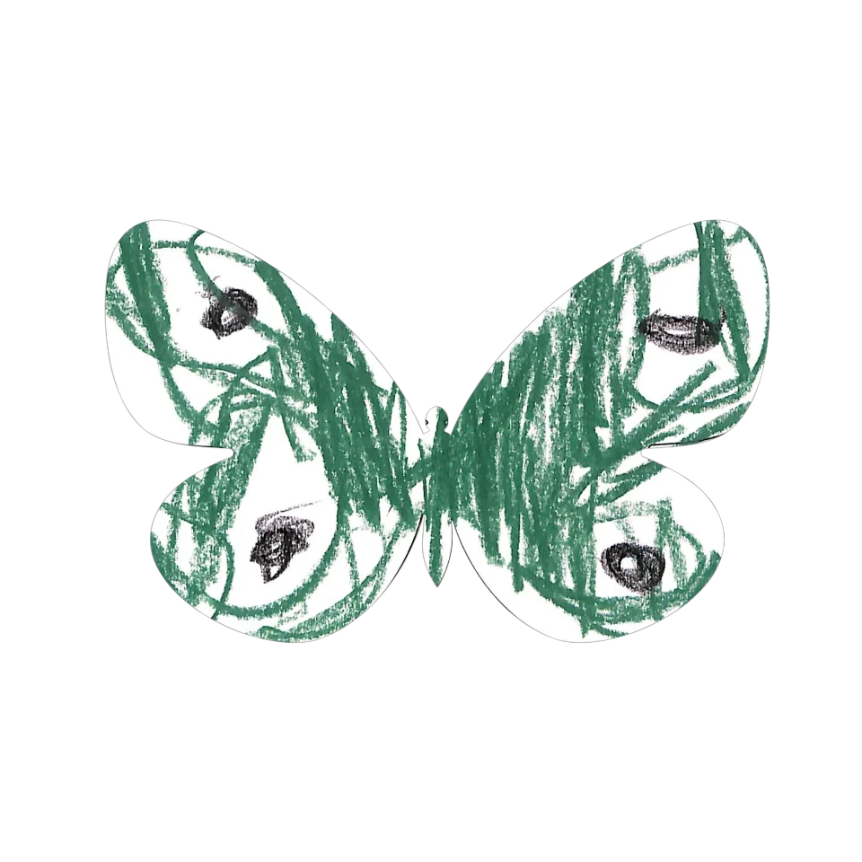 Original Butterfly Image