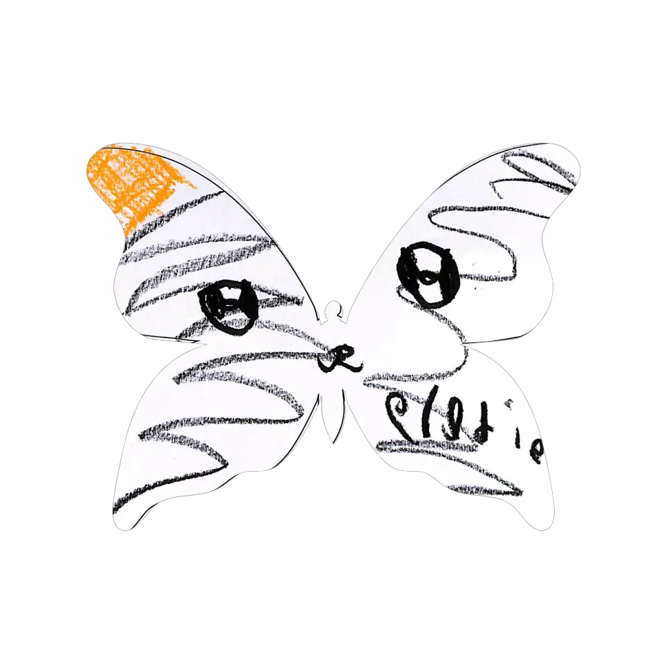 Original Butterfly Image