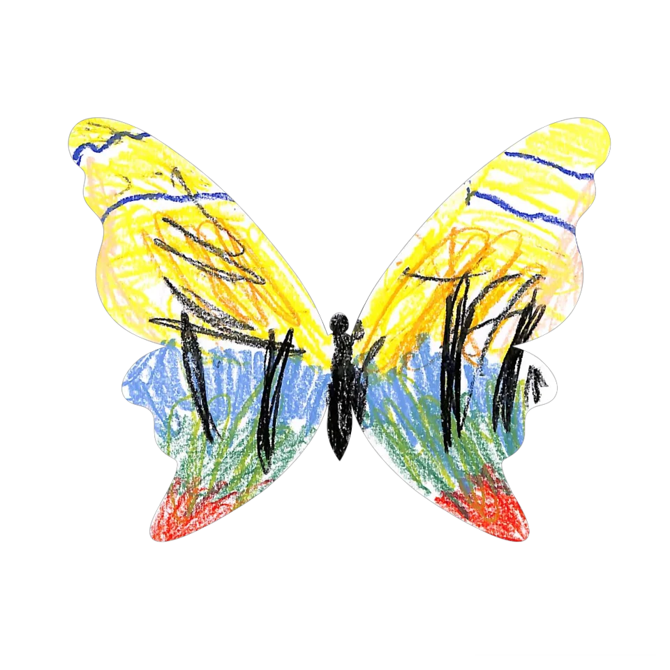 Original Butterfly Image