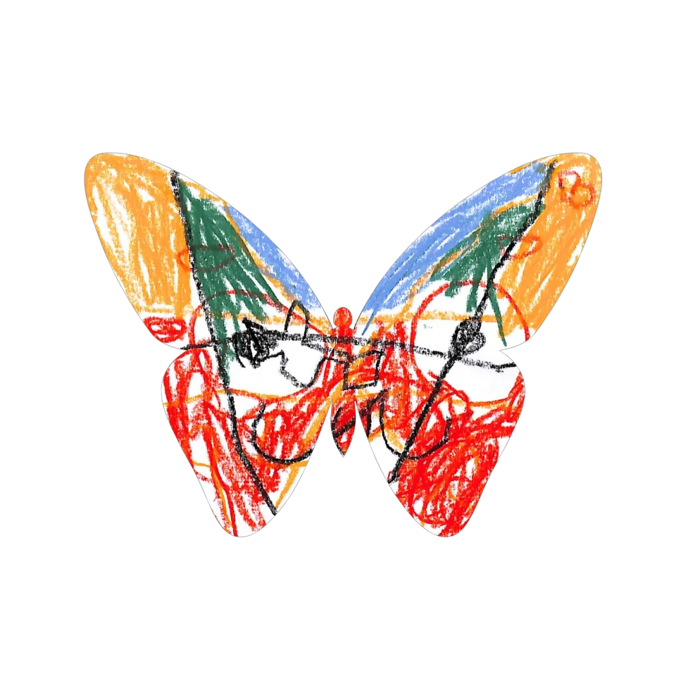 Original Butterfly Image