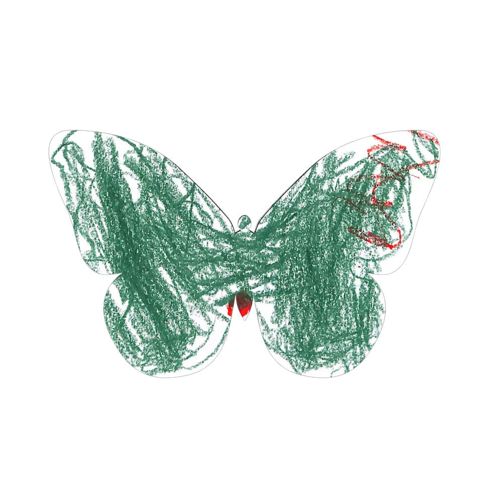Original Butterfly Image