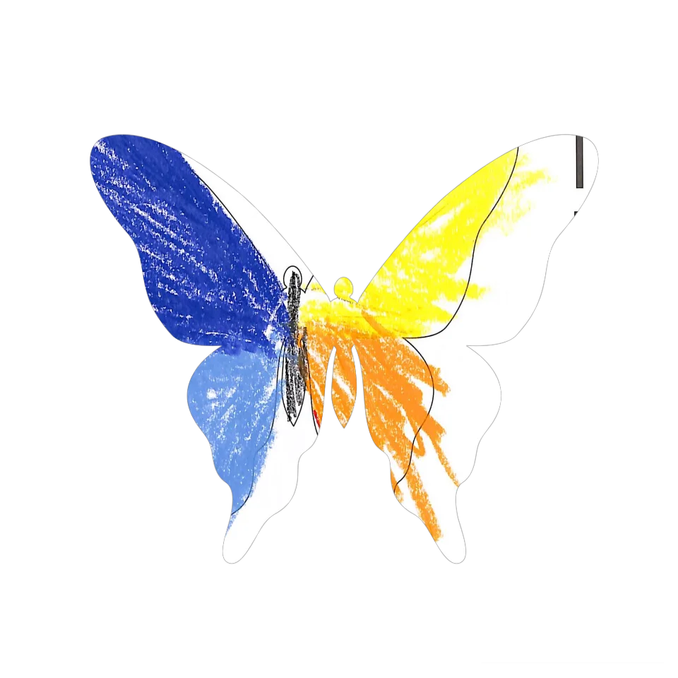 Original Butterfly Image