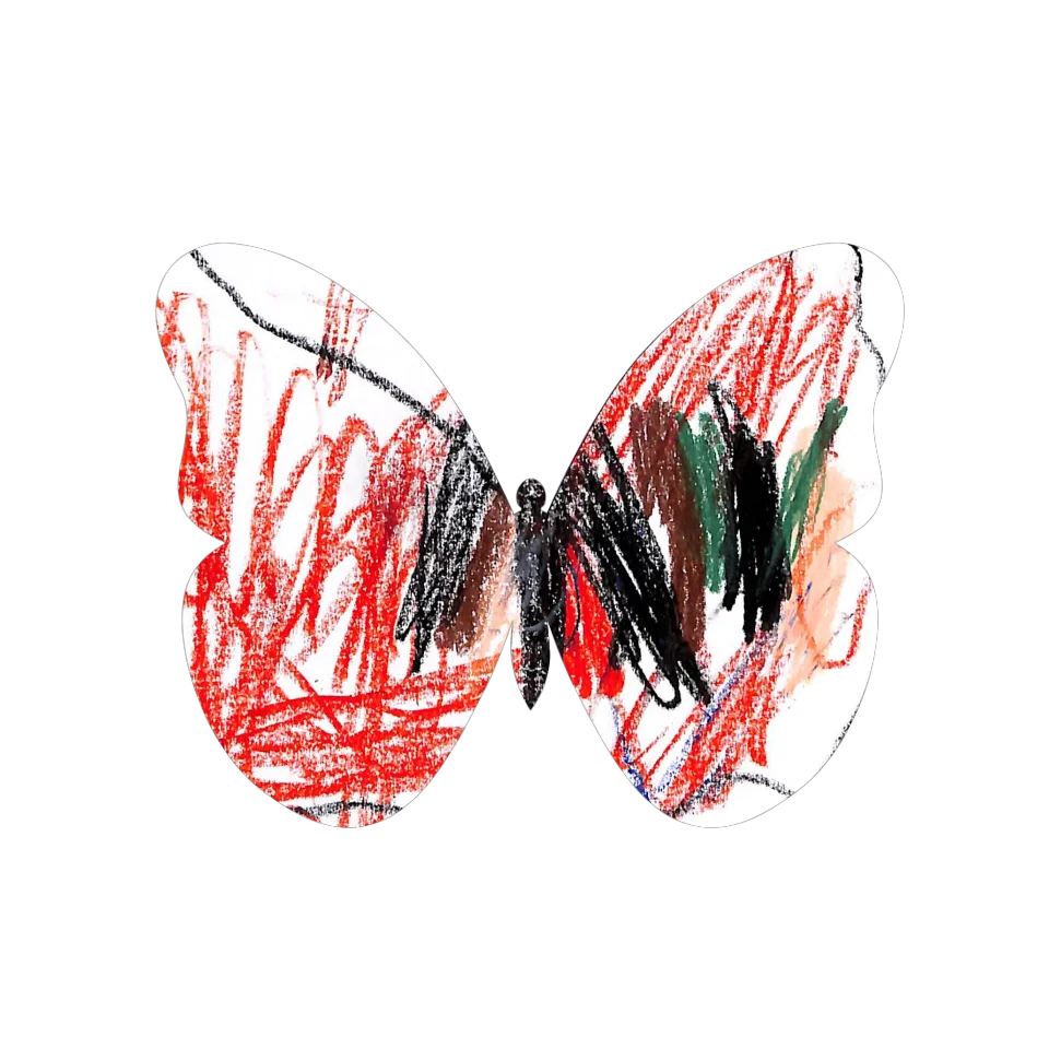 Original Butterfly Image