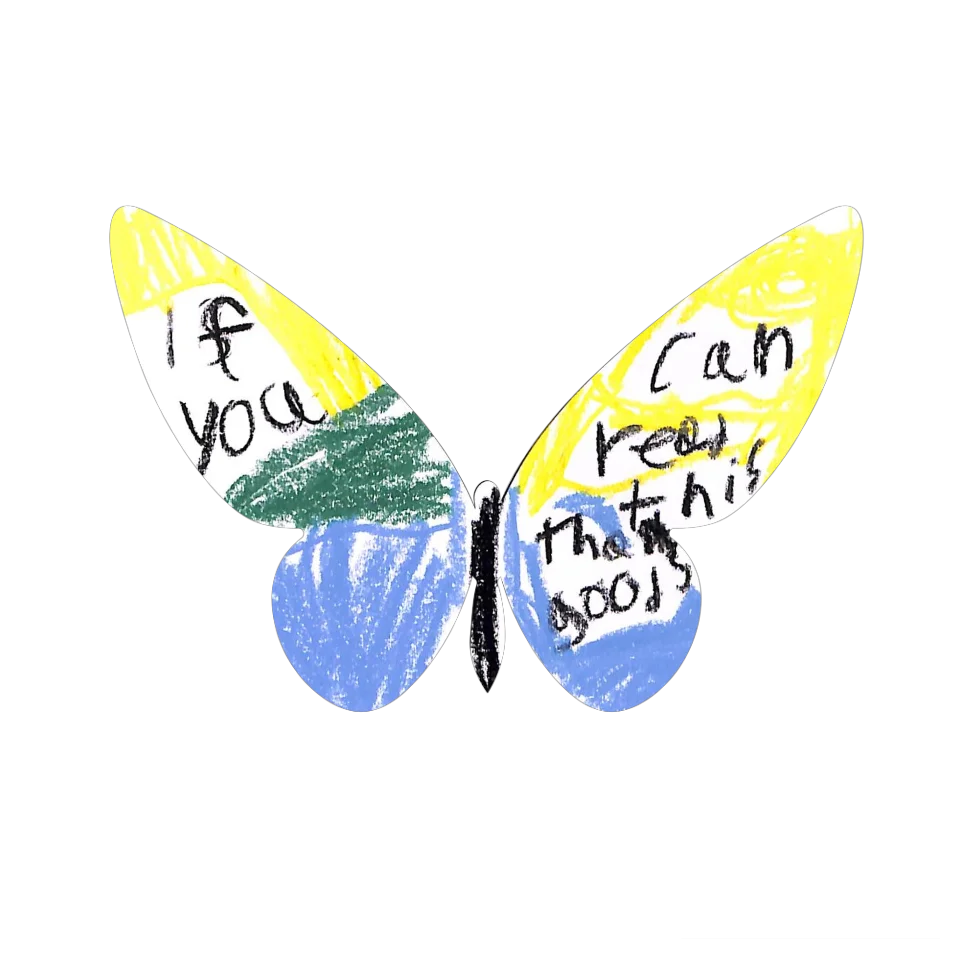 Original Butterfly Image