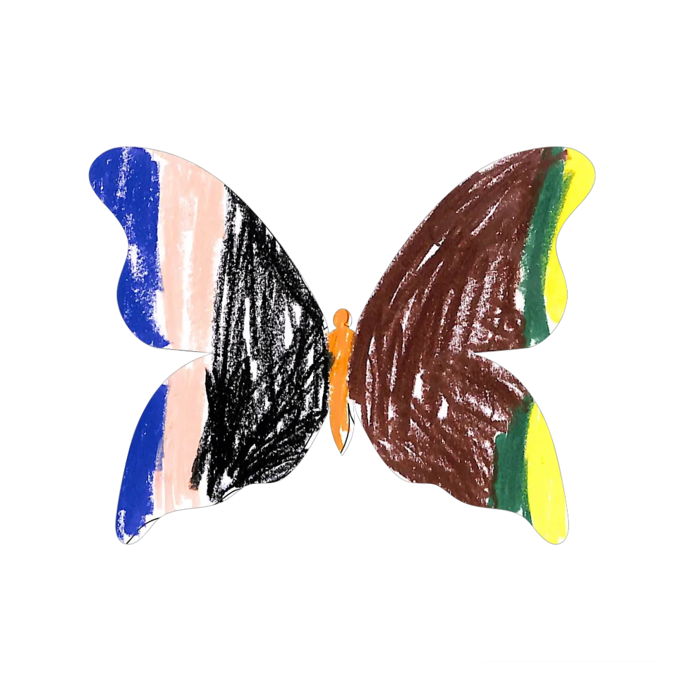 Original Butterfly Image