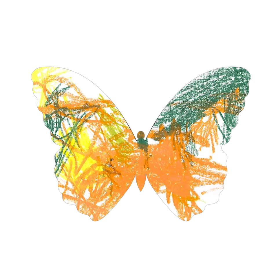 Original Butterfly Image
