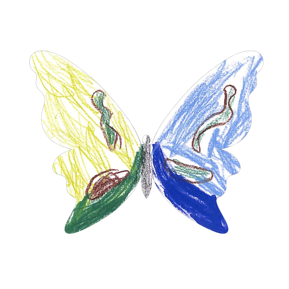 Original Butterfly Image
