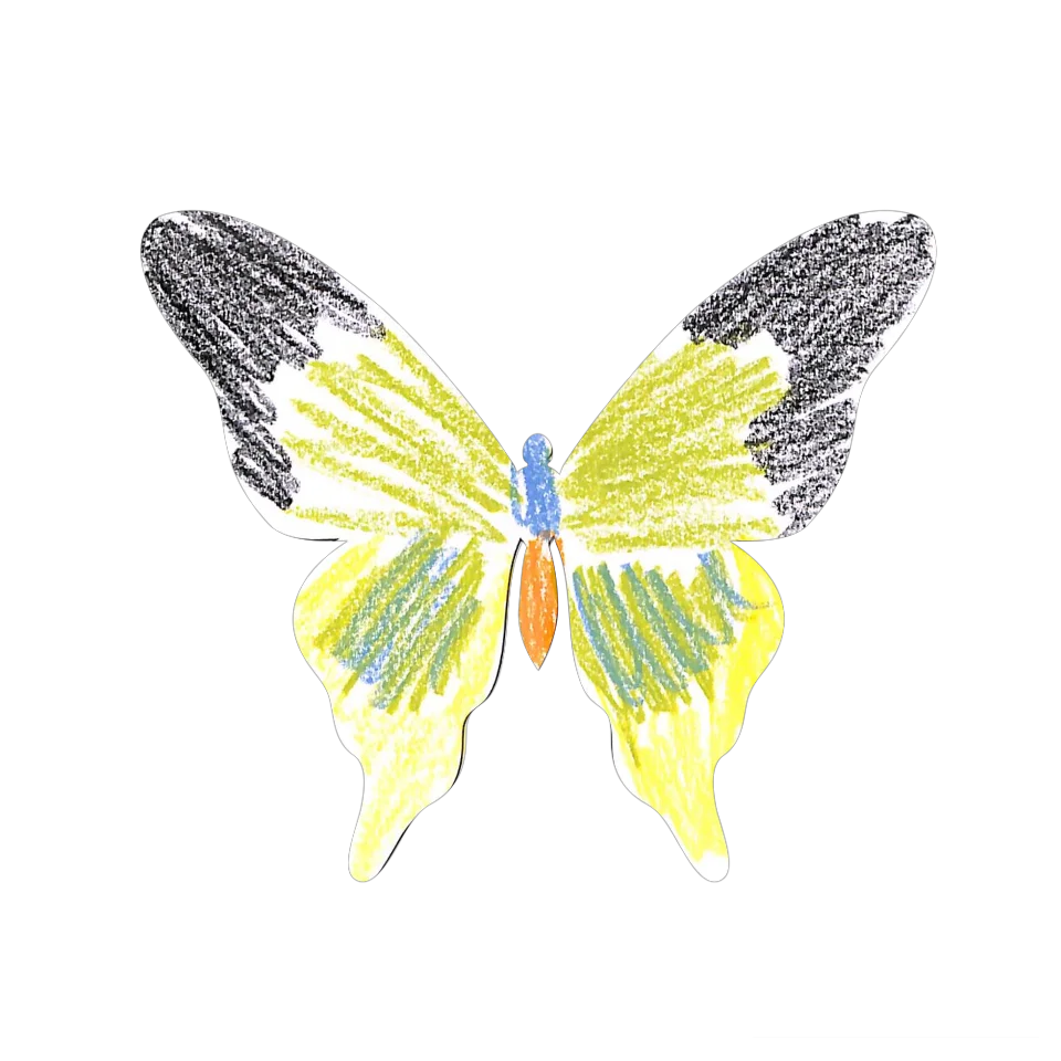 Original Butterfly Image