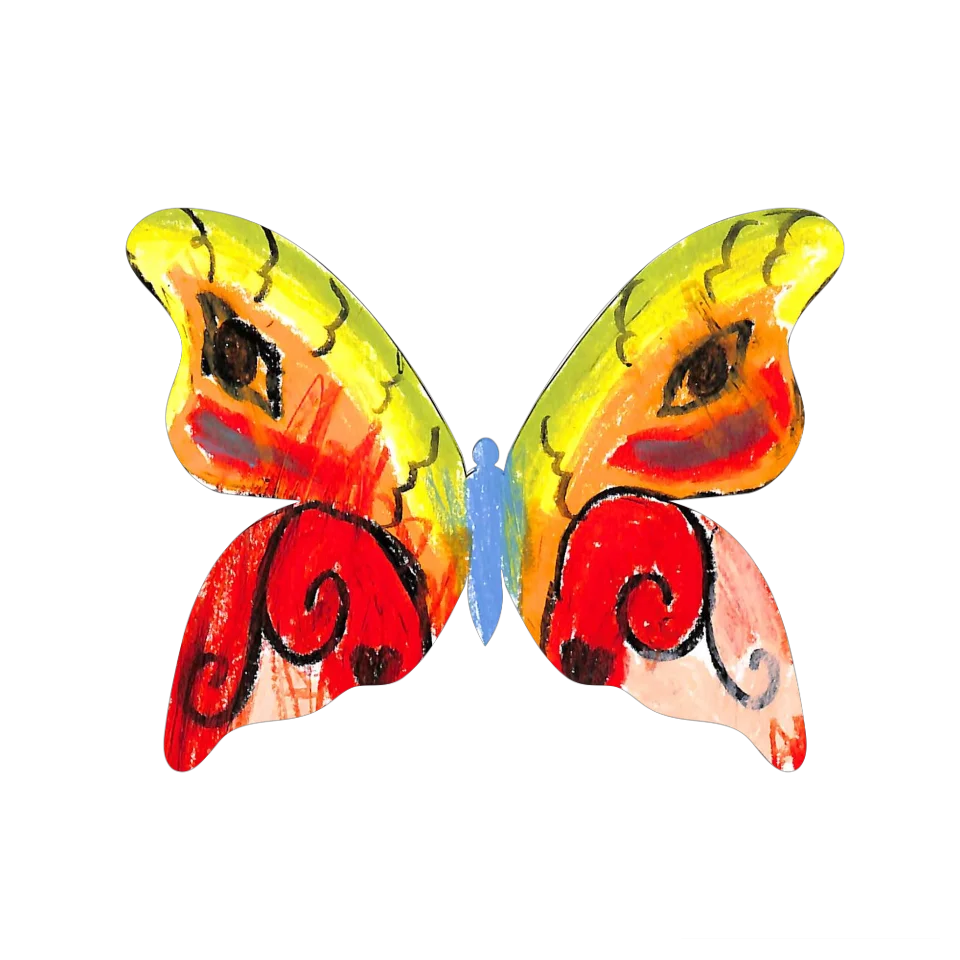 Original Butterfly Image