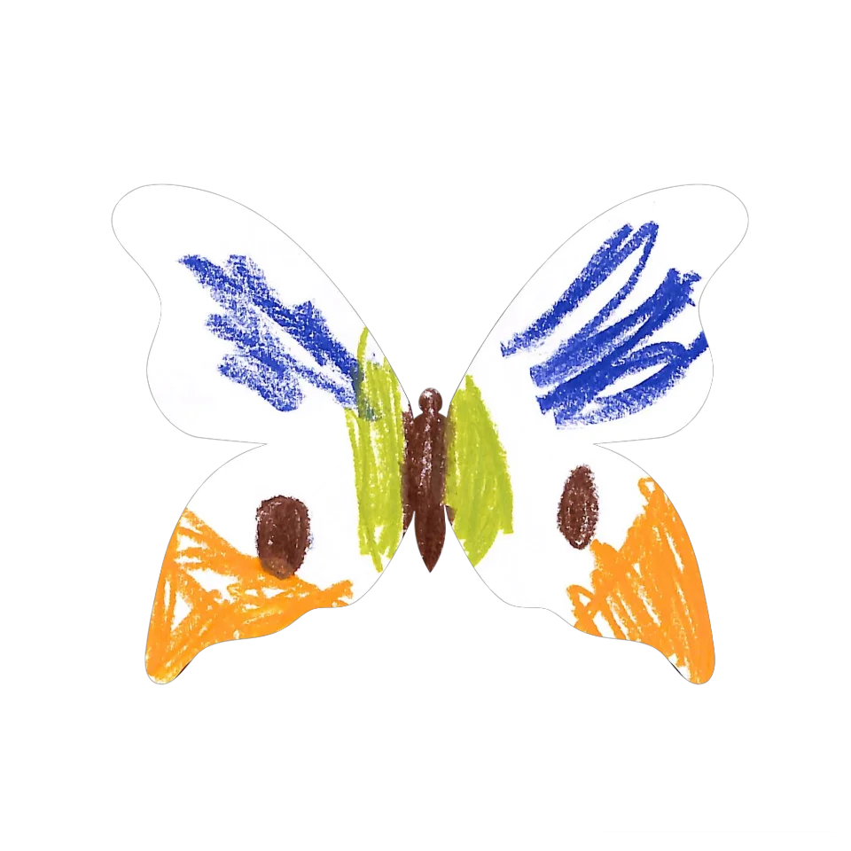 Original Butterfly Image