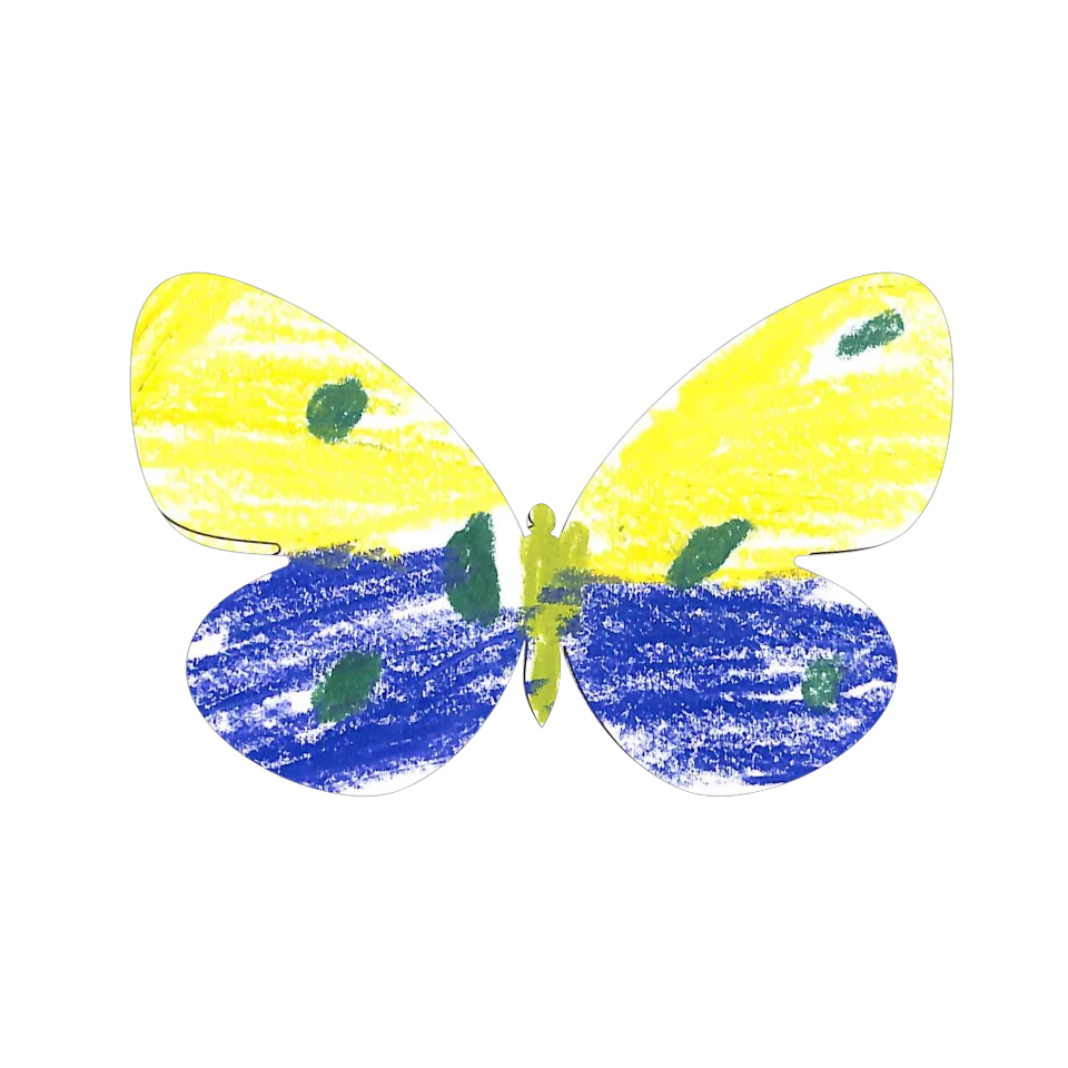 Original Butterfly Image