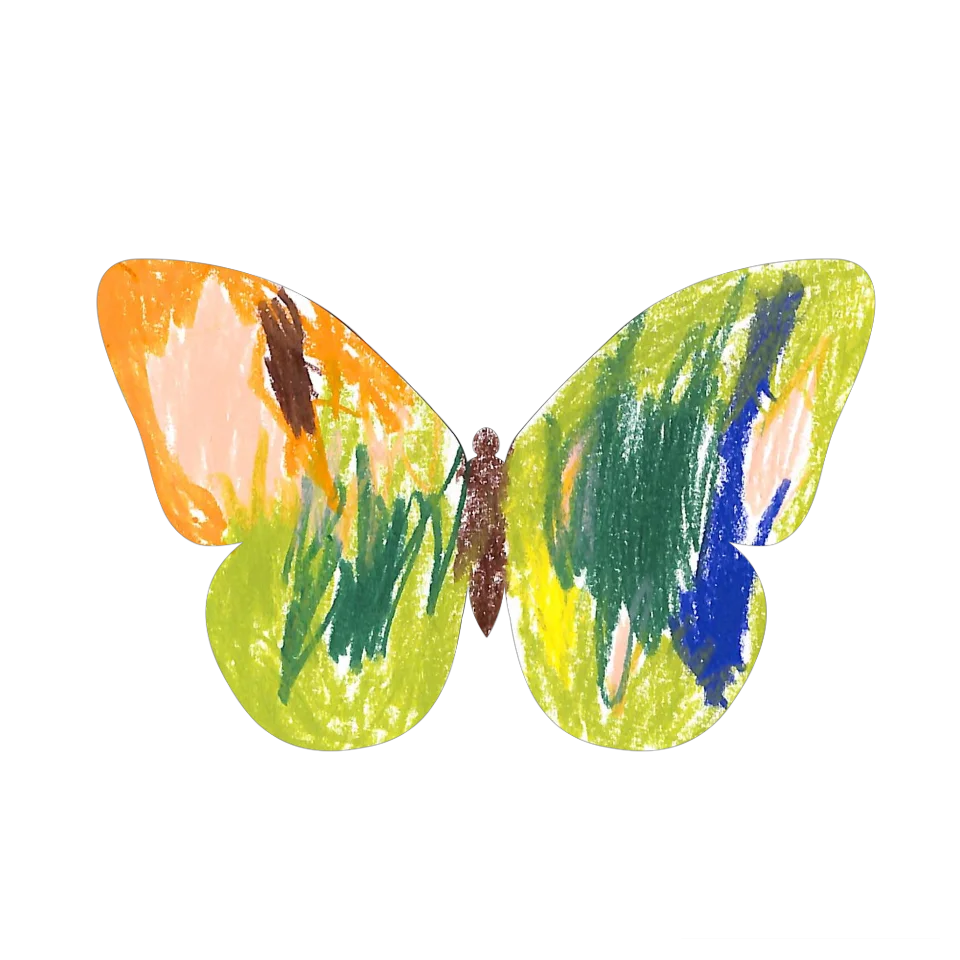 Original Butterfly Image