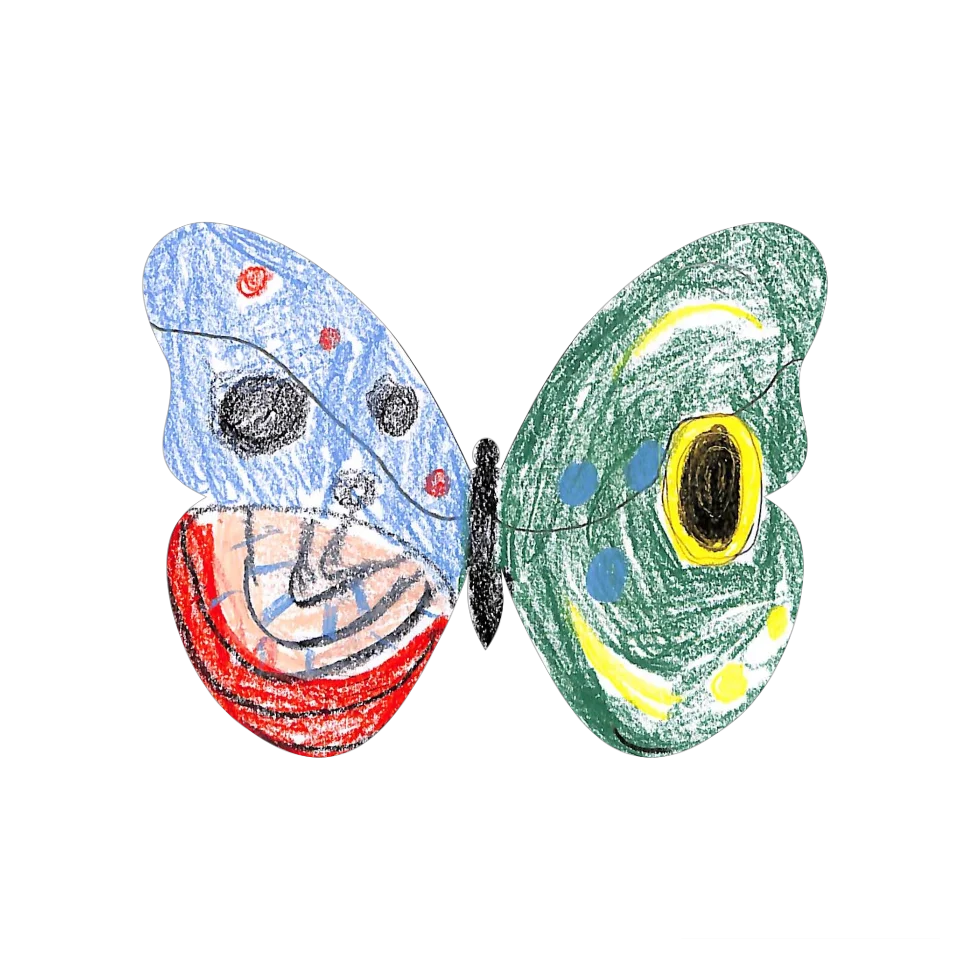 Original Butterfly Image