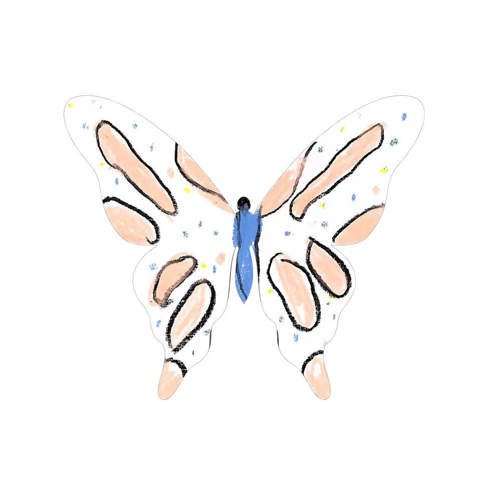 Original Butterfly Image