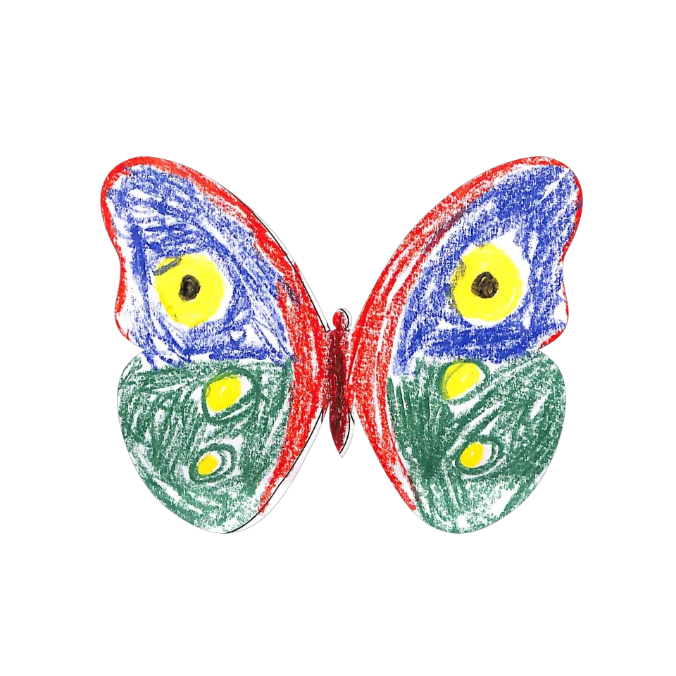 Original Butterfly Image