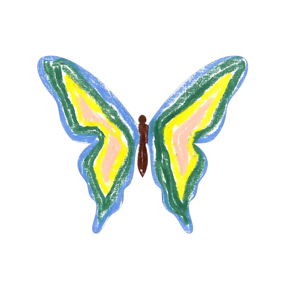Original Butterfly Image