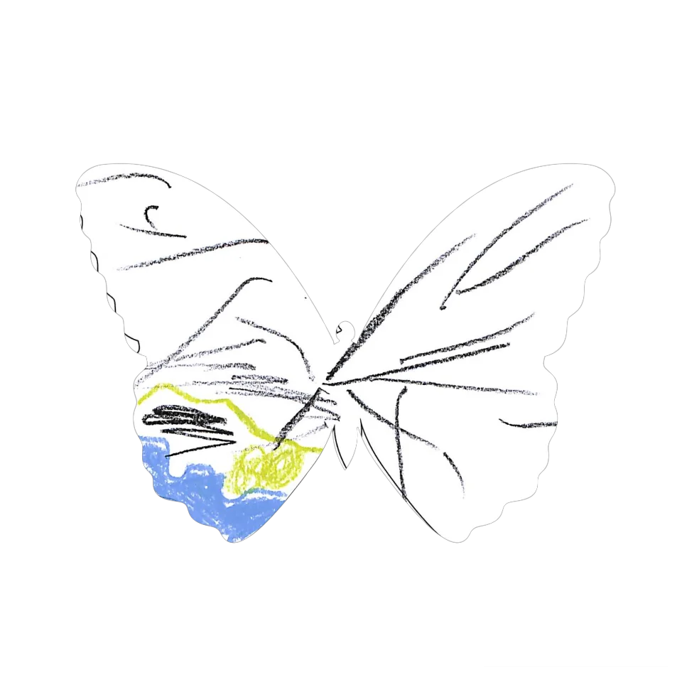 Original Butterfly Image