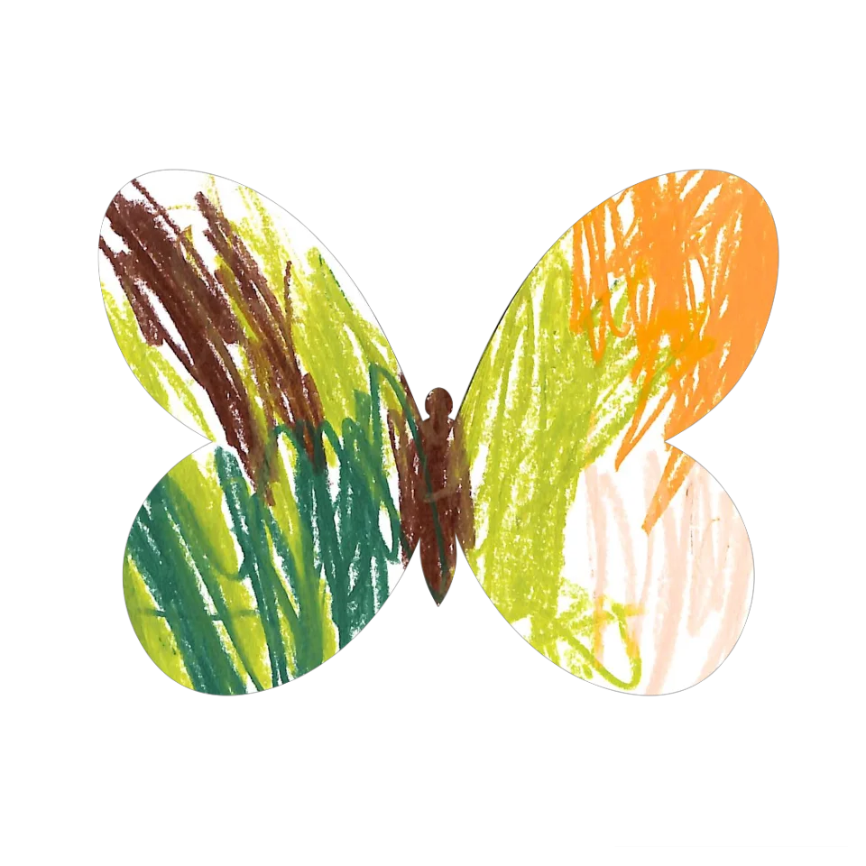 Original Butterfly Image