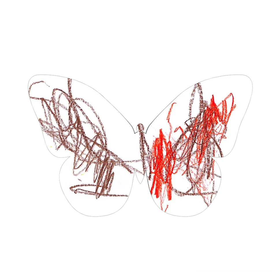 Original Butterfly Image