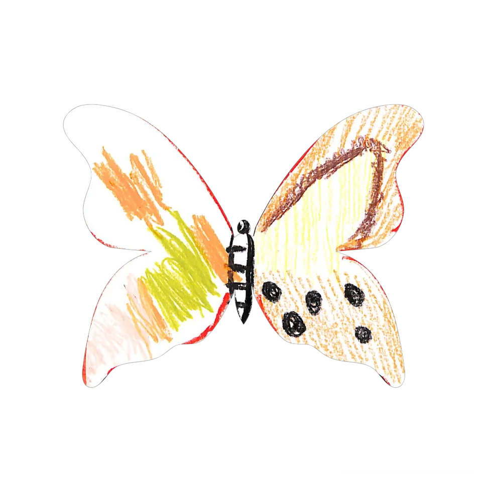 Original Butterfly Image