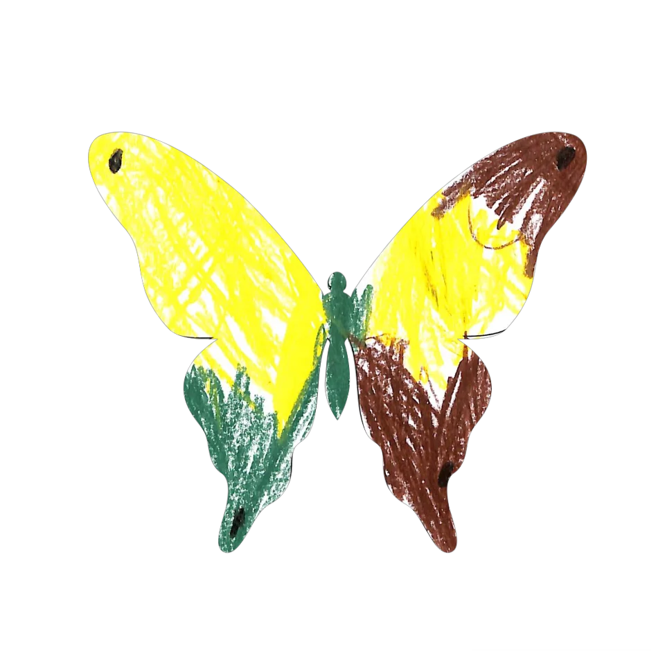 Original Butterfly Image