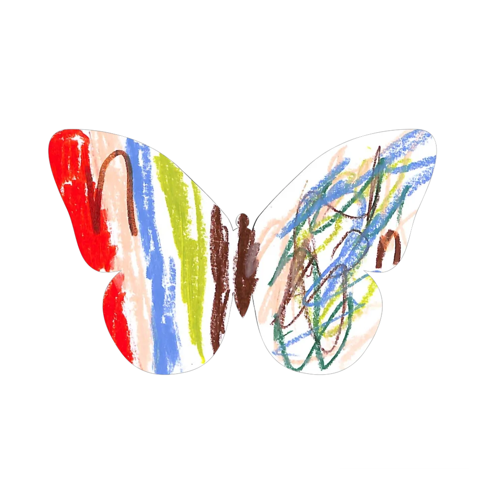 Original Butterfly Image