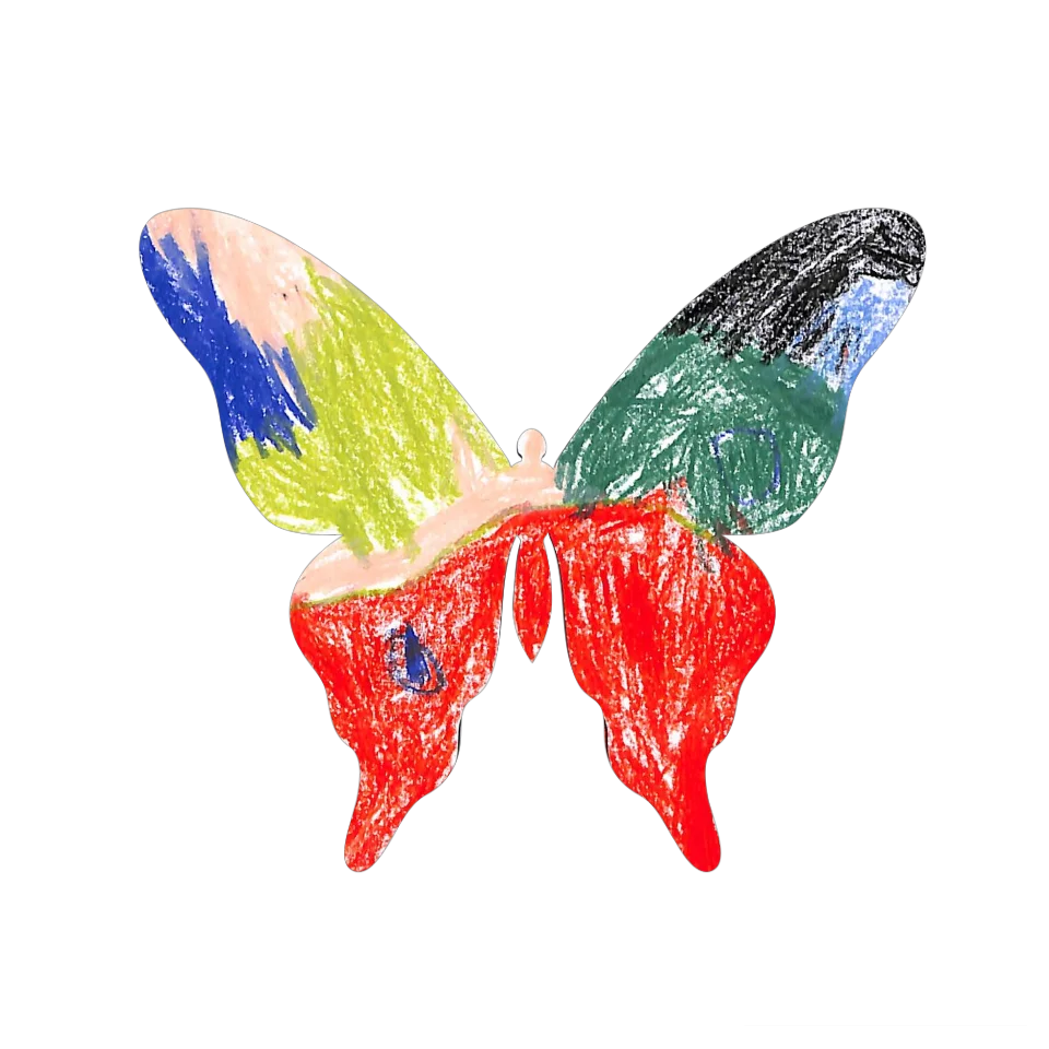 Original Butterfly Image