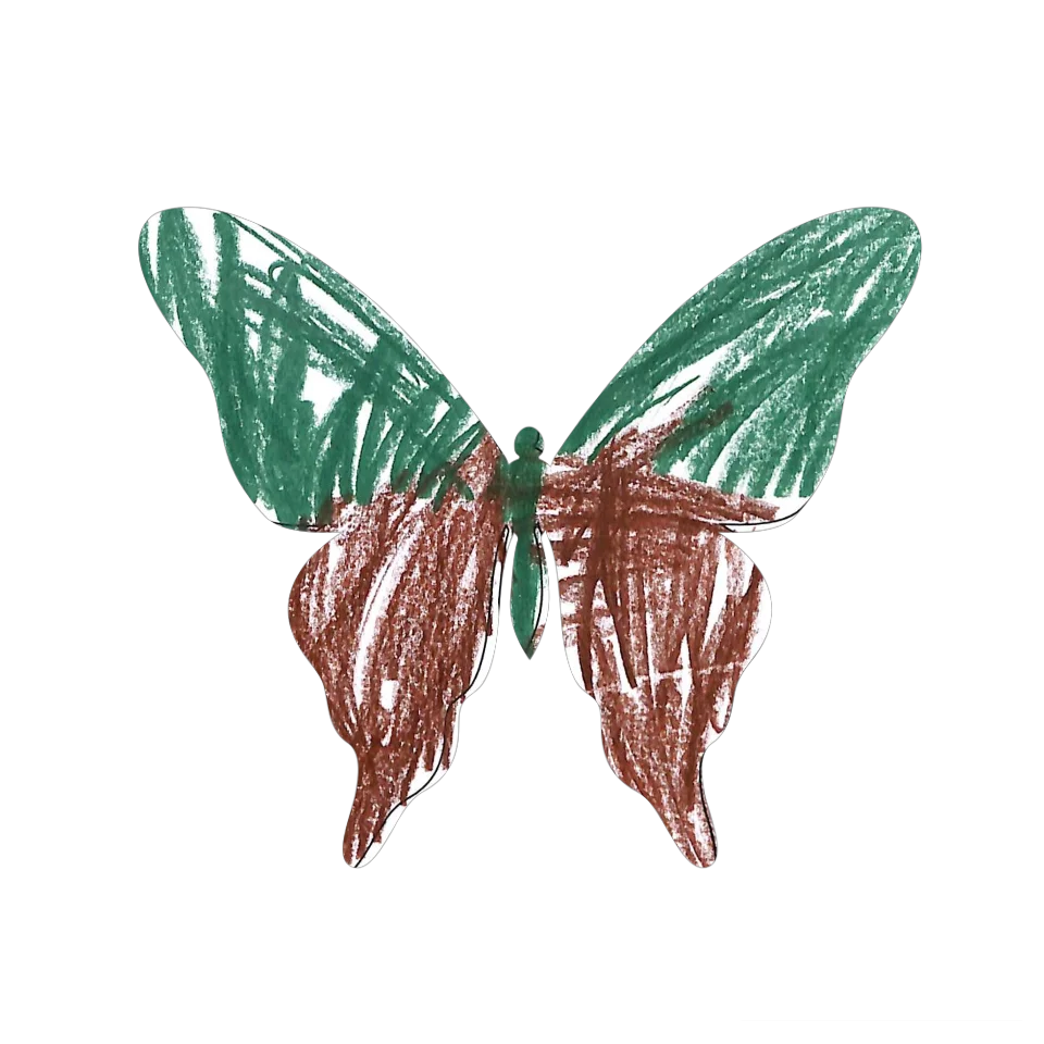 Original Butterfly Image