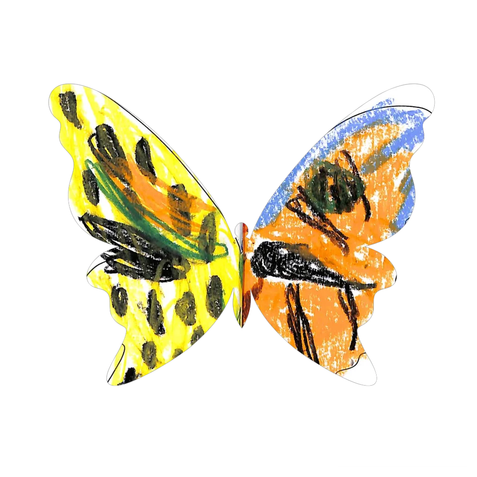 Original Butterfly Image