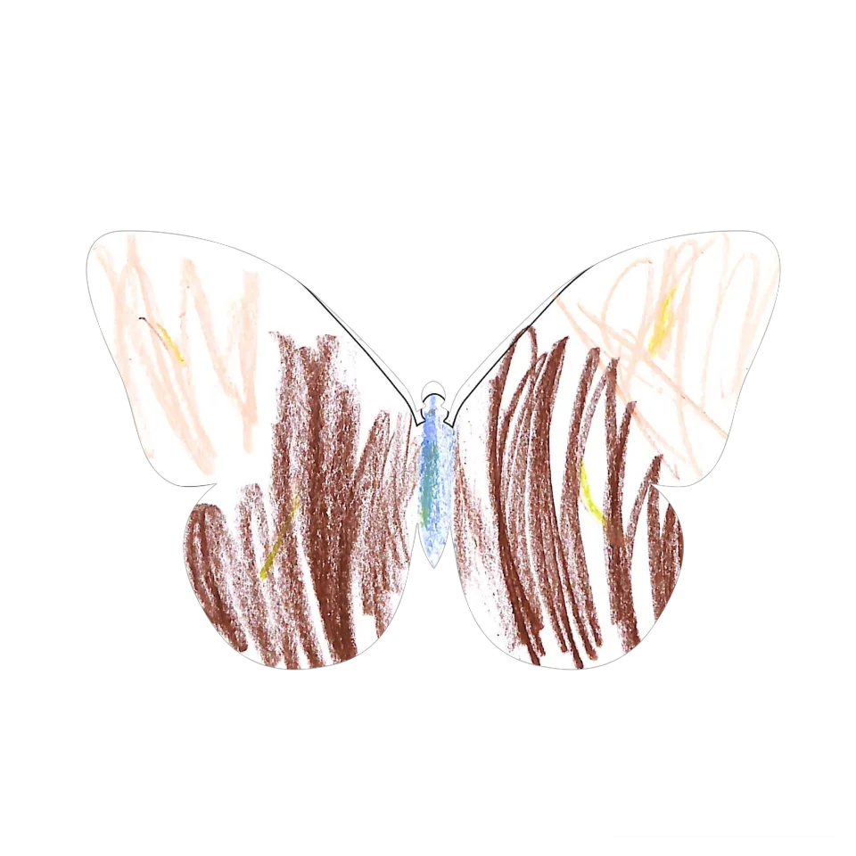 Original Butterfly Image
