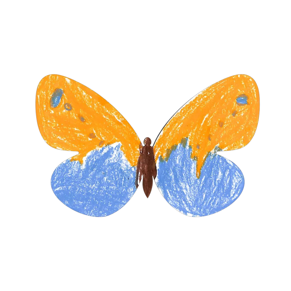 Original Butterfly Image