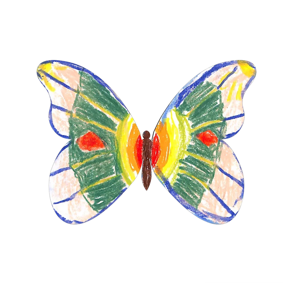 Original Butterfly Image