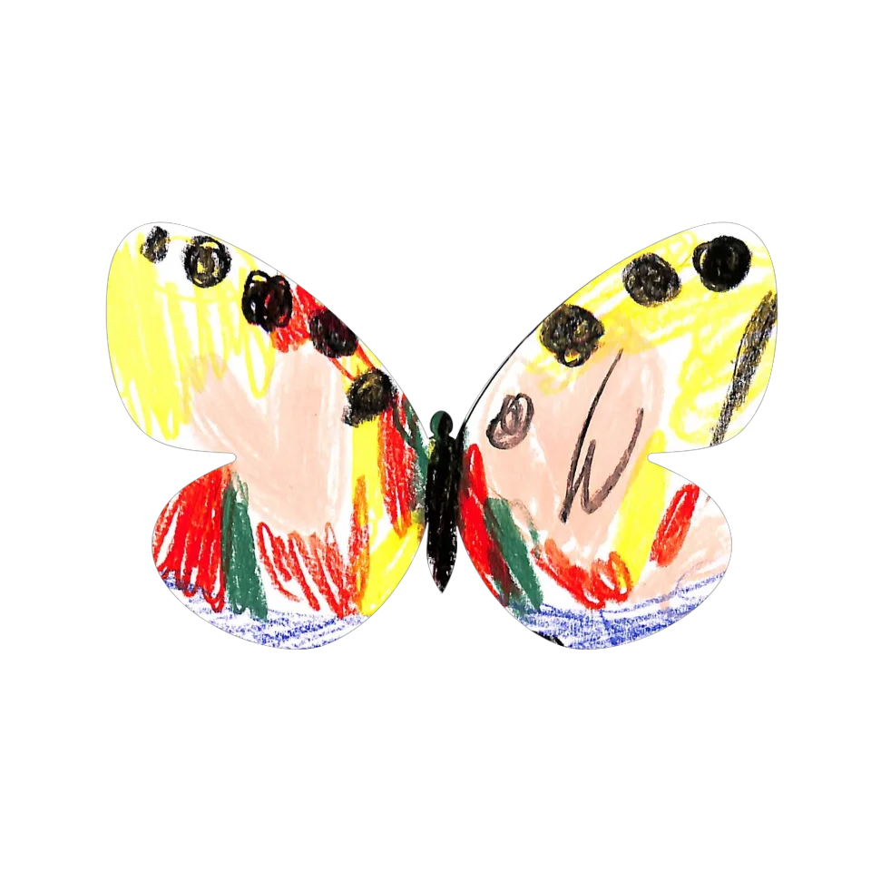 Original Butterfly Image