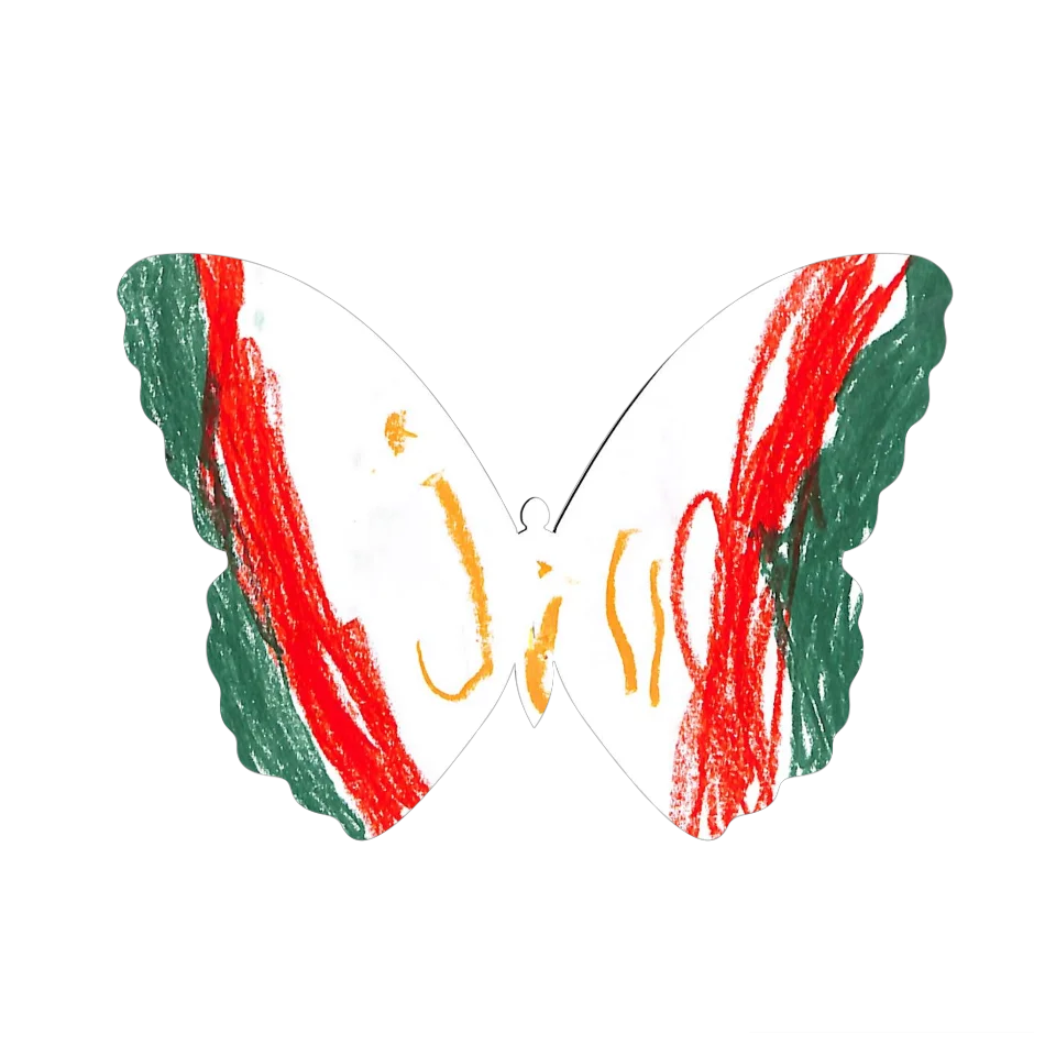 Original Butterfly Image