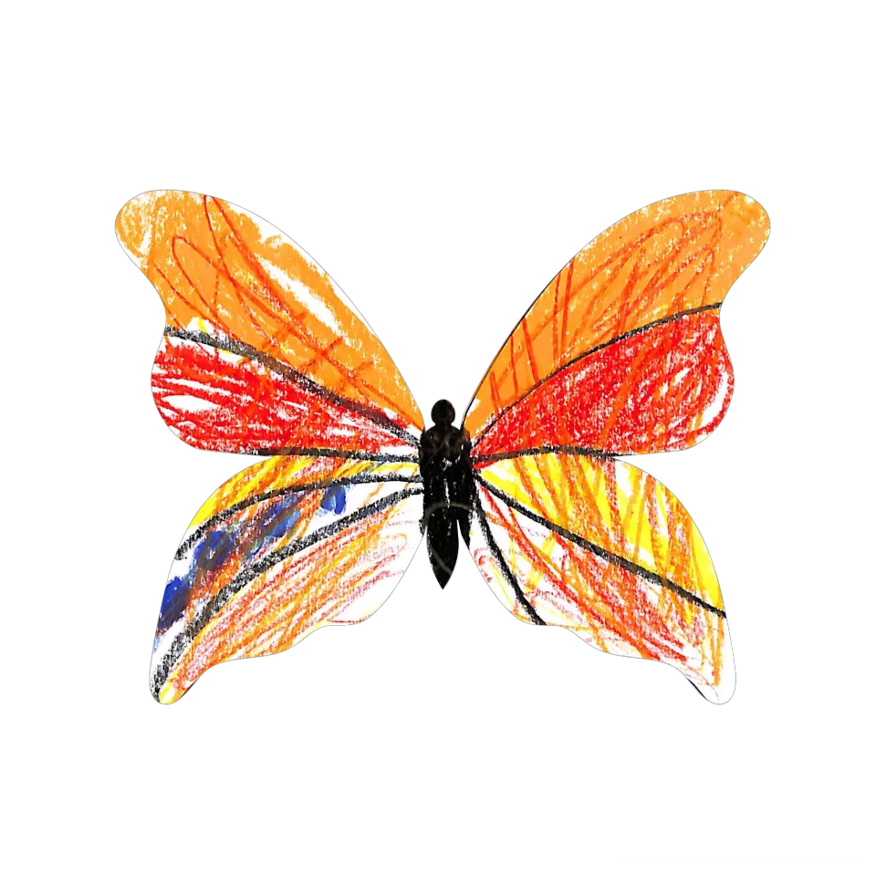 Original Butterfly Image