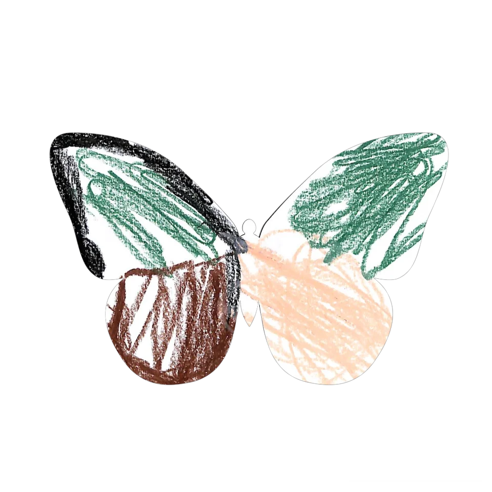 Original Butterfly Image