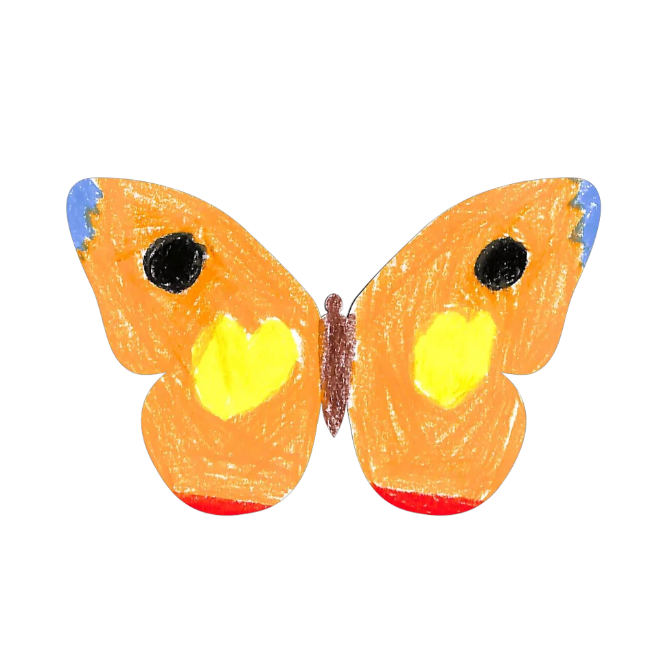 Original Butterfly Image