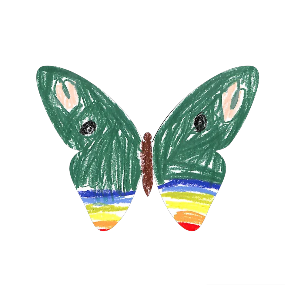 Original Butterfly Image