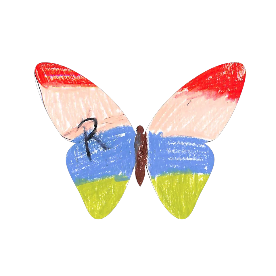Original Butterfly Image