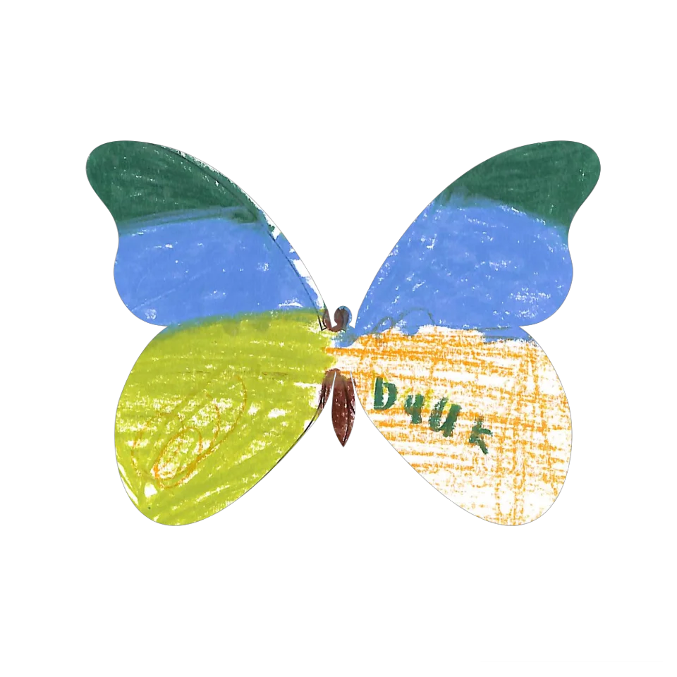 Original Butterfly Image